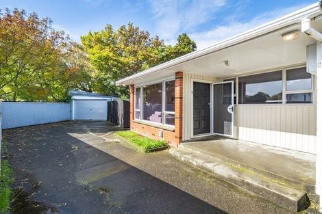 Photo of property in 5 Amberley Grove, Hutt Central, Lower Hutt, 5010
