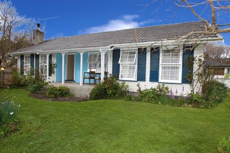 Photo of property in 17 Von Dadelszen Place, Havelock North, 4130