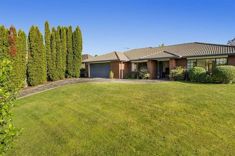 Photo of property in 33 Bethlehem Heights, Bethlehem, Tauranga, 3110