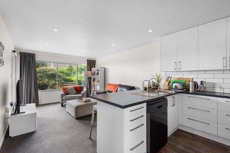 Photo of property in 19c Sheen Street, Roslyn, Dunedin, 9010