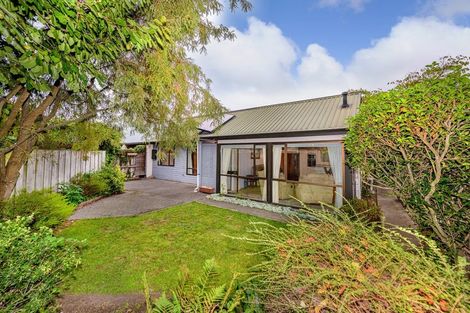 Photo of property in 63a Torrens Road, Hillmorton, Christchurch, 8024