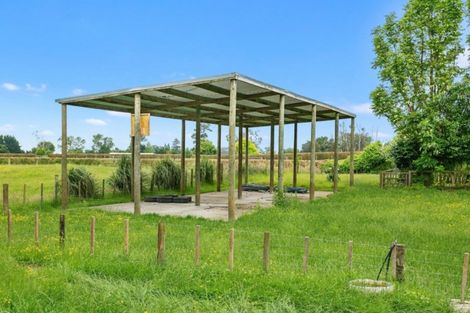 Photo of property in 660 Tauranga Road, Te Poi, Matamata, 3473