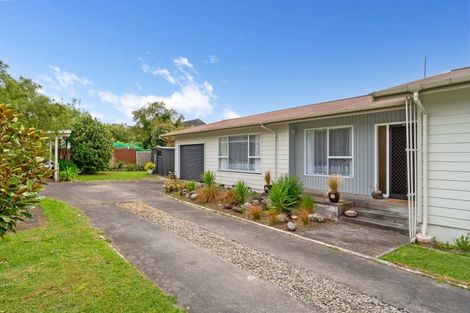 Photo of property in 45 Kitchener Street, Lansdowne, Masterton, 5810