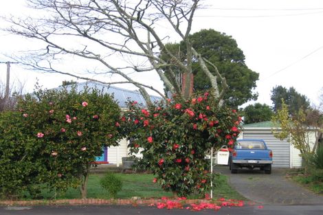 Photo of property in 33 Maitland Street, Frankton, Hamilton, 3204