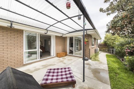 Photo of property in 24a Rata Street, Roslyn, Palmerston North, 4414