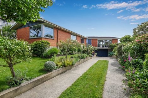 Photo of property in 11 Selkirk Street, Roslyn, Dunedin, 9010