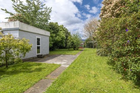 Photo of property in 36 Quinn Road, Levin, 5510