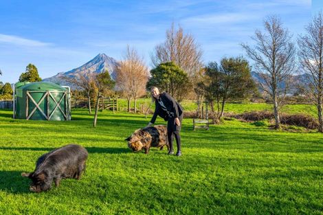 Photo of property in 83 Peters Road, Kaimiro, Inglewood, 4386