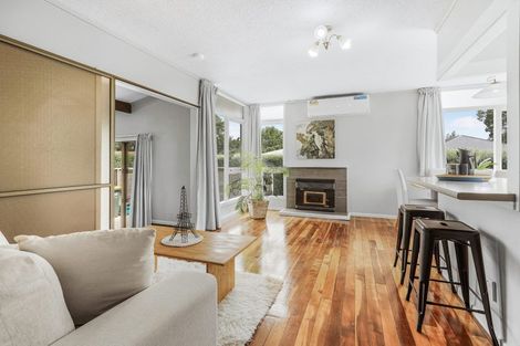 Photo of property in 29 Boundary Road, Claudelands, Hamilton, 3214