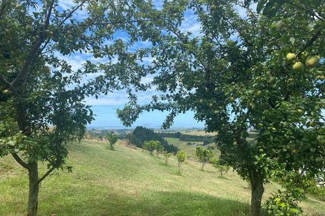 Photo of property in 236 Waipapa Block Road, Whakamarama, Tauranga, 3180