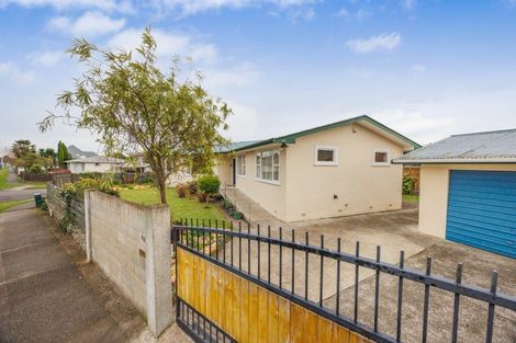 Photo of property in 49 Pitama Road, Awapuni, Palmerston North, 4412