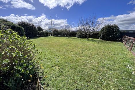 Photo of property in 15 Frances Street, Tirau, 3410