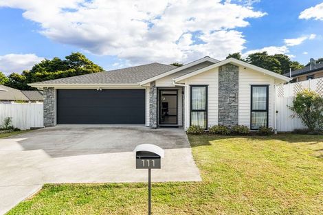 Photo of property in 111 Hillpark Drive, Pokeno, 2402