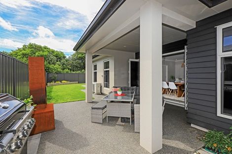 Photo of property in 25 Young Place, Taradale, Napier, 4112