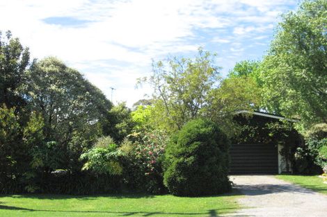 Photo of property in 229 Harris Street, Inner Kaiti, Gisborne, 4010