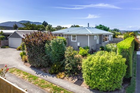 Photo of property in 1/45 Rotokawa Street, Taupo, 3330
