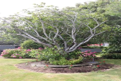 Photo of property in 431 Yarrow Street, Glengarry, Invercargill, 9810