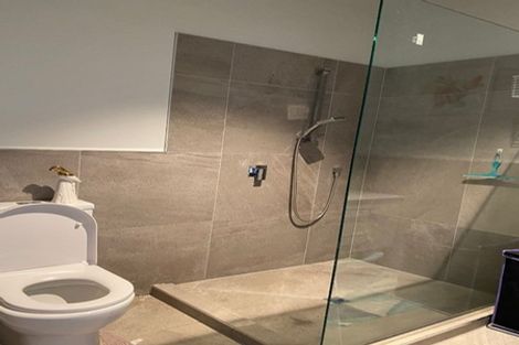 Photo of property in 3/39 Norton Road, Frankton, Hamilton, 3204