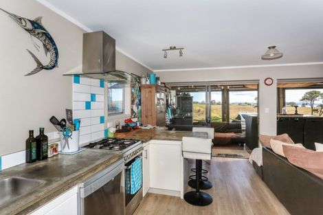 Photo of property in 481b Grahams Beach Road, Manukau Heads, Waiuku, 2684