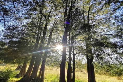 Photo of property in 1 Takapari Road, Pohangina, Ashhurst, 4884