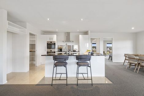 Photo of property in 46 Wapiti Avenue, Feilding, 4775