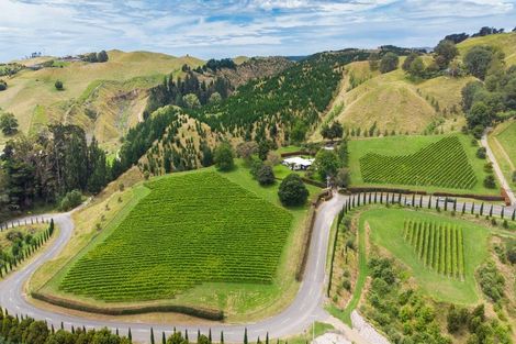 Photo of property in 619 Tuki Tuki Road, Tuki Tuki, Havelock North, 4180