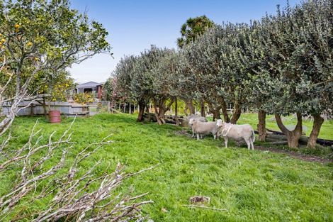 Photo of property in 63 Tate Road, Brixton, Waitara, 4382