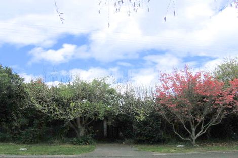 Photo of property in 55 Shepherd Road, Waipahihi, Taupo, 3330