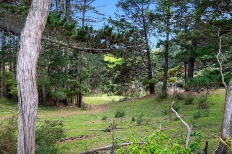 Photo of property in 93 Mcentee Road, Waitakere, Auckland, 0816