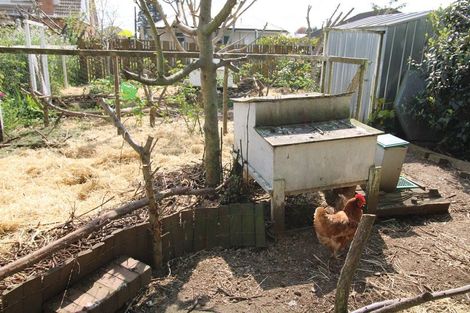 Photo of property in 11 Miro Street, Matamata, 3400