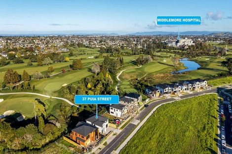 Photo of property in 37 Puia Street, Papatoetoe, 2025