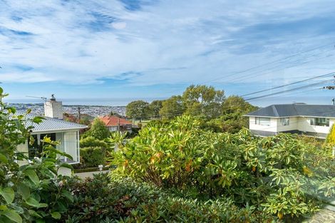 Photo of property in 178 Forfar Street, Maryhill, Dunedin, 9011