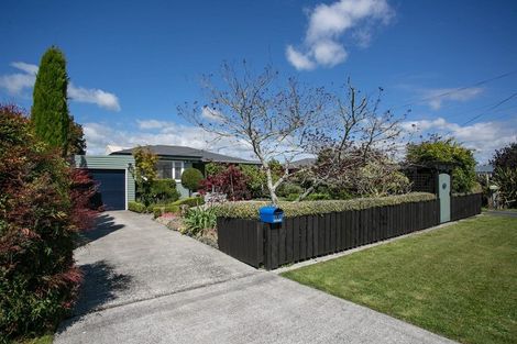 Photo of property in 11 Keats Terrace, Leamington, Cambridge, 3432