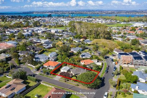 Photo of property in 8 Sloane Street, Glen Innes, Auckland, 1072