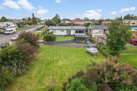 Photo of property in 22 Neal Street, Putaruru, 3411