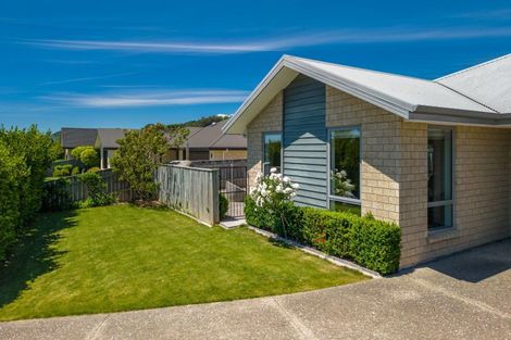 Photo of property in 17 Joyce Place, Richmond, 7020