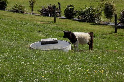 Photo of property in Whirinaki Valley Road, Ngakuru, Rotorua, 3077