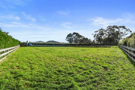 Photo of property in 91 Te Whanga Road, Levin, 5572