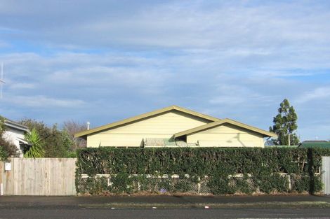 Photo of property in 112 Albert Street, Terrace End, Palmerston North, 4410