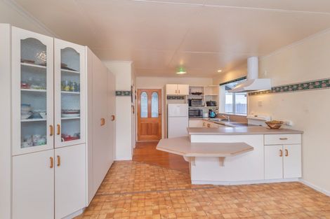 Photo of property in 43 Tiro Tiro Road, Levin, 5510