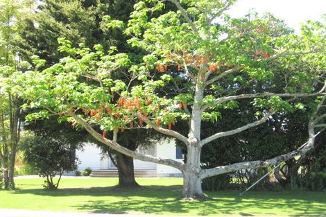 Photo of property in 231 Harris Street, Inner Kaiti, Gisborne, 4010