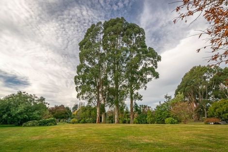 Photo of property in 427 Northbank Road, Kaituna, Blenheim, 7275
