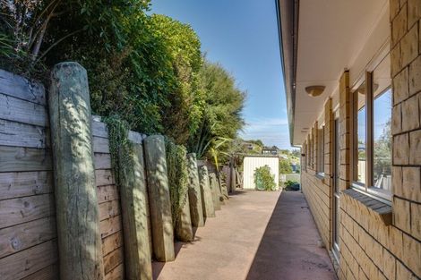 Photo of property in 19 Violet Street, Raglan, 3225