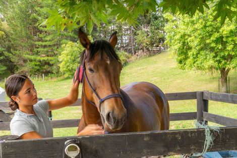 Photo of property in 1222 Taihape Road, Sherenden, Hastings, 4179