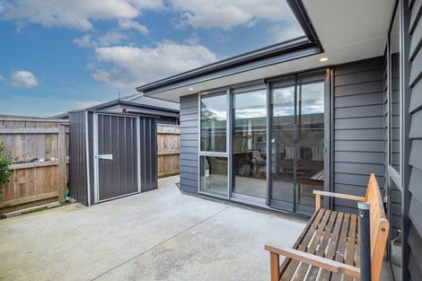 Photo of property in 30 Duke Street, Levin, 5510