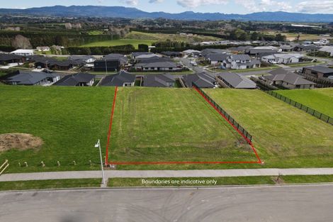 Photo of property in 10 Kuaka Rise, Omokoroa, 3114