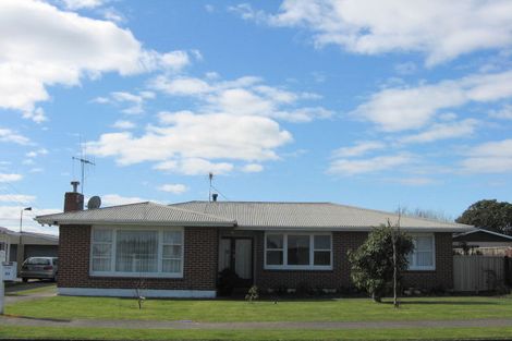 Photo of property in 43 Meadowvale Drive, Levin, 5510