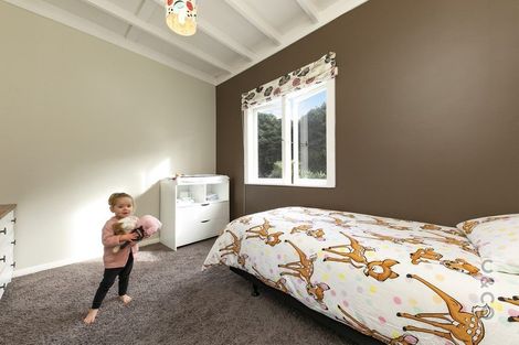 Photo of property in 315 School Road, Waimauku, 0881