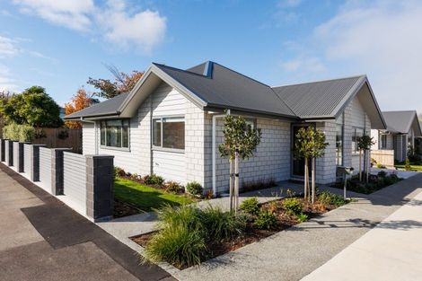 Photo of property in 14b Knowles Street, Terrace End, Palmerston North, 4410