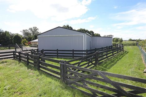 Photo of property in 255 Calico Line, Marton, 4787